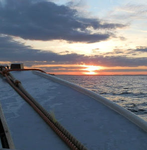 Meet your Posher, Stacey